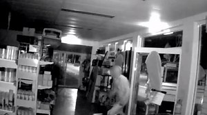 Queensland Police Service on Reels
