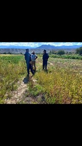 54 reactions | La Policía busca a Tito Fabian Alcalá 42 de años . Importe operativo de búsqueda de persona en la localidad de Cachi, la Dirección Unidad Regional N° 12 diagrama el operativo integrado por más de 40 efectivos para realizar rastrillaje en parajes de la zona por el paradero de Tito Fabian Alcalá, quien desde el pasado 26 de marzo se ausentó de su hogar en barrio Pueblo Nuevo. . . Más Info ➡️https://prensa.policiadesalta.gob.ar/?p=9716 | Policía de Salta | Facebook