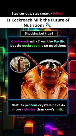 Cockroach Produces Super Nutritious Milk! #facts #viralshorts #youtubeshorts #sciencefacts #gaming