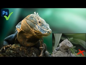 My Wildlife Photography Editing Workflow | Make your Photos STAND OUT In Photoshop