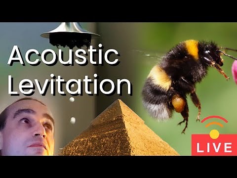 Acoustic Levitation - Do Bees Levitate?