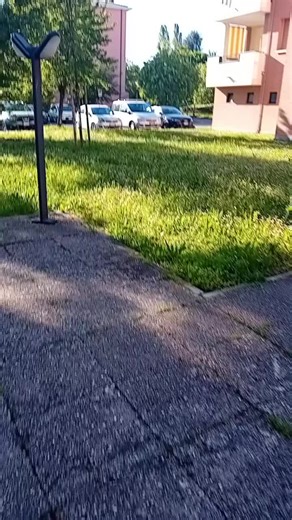 Video di alessandro venturi (@alessandro.ventur402) con audio originale - alessandro venturi