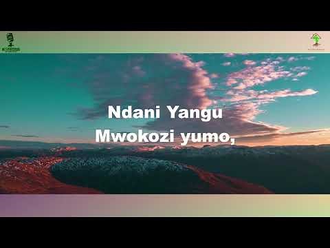 ANAYEKULA MWILI WAKO - MIZIZI AFRICA BAND(Official Video Lyrics)