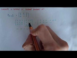 Find the Inverse Transition Matrix - Explanations + Example - Algebra Maths Prep Licence