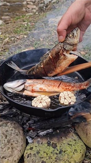 Wild Cooking Fish on Cast Iron Over Open Fire 🔥 Crispy Skin & Fire Flavor