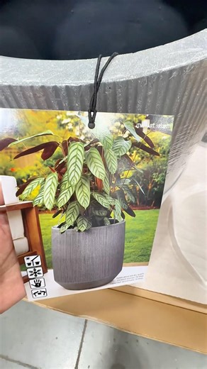 Costco Garden Deal 🔥 $10 OFF Concrete Planter (Selling Out!)#planter #costcodeals
