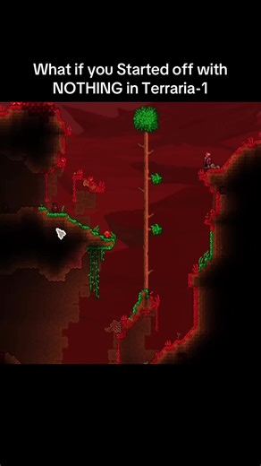 What if you Started off with NOTHING in Terraria-1 | terraria