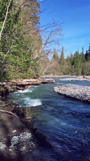 Floodwater Washout | White River | Skookum Flats | Washington State #nature #river #mountains