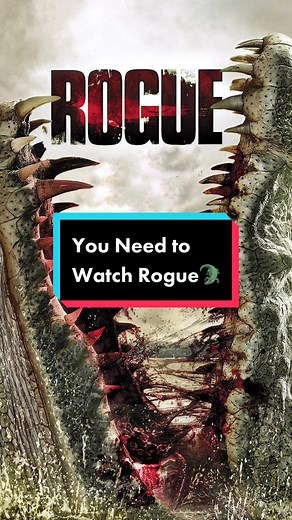 Lander Ward on TikTok