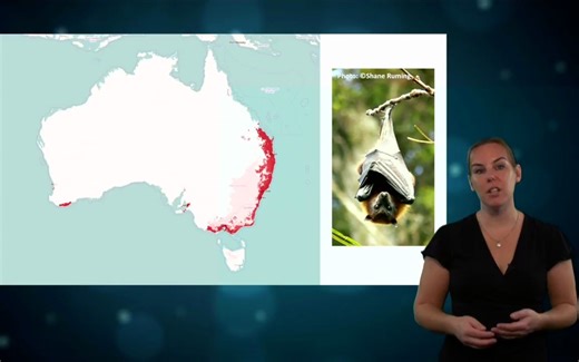 超全面的物种分布模型介绍 Module 1 - Introduction to Species Distribution Modelling