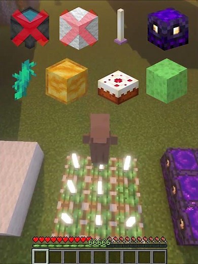 Minecraft Villager Fall Damage vs Blocks💀