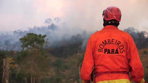Amazon rainforest threatened by wildfires