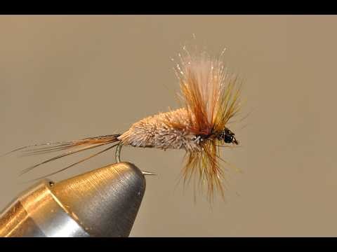 Tying the Irresistible a Classic Dry Fly