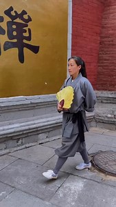 There are no shortcuts in Kung Fu - every step is part of the journey 练拳没有捷径，每一步都是修行。 🐲 🎥@shaolin.shihengru 1️⃣ Follow @ShaolinWorldwide for daily Shaolin Kung Fu, breathtaking places in China & wisdom to inspire your journey 🐉 2️⃣ Subscribe on YouTube for exclusive content — live teachings, music meditations, history, and rare interviews you won’t find anywhere else 🎬 3️⃣ Join our mailing list at www.ShaolinWW.com (link in bio) to get early access to retreats, events, products & online trai