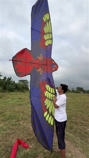 Paano Buoin ang Eagle Kite: Tutorial at Materials