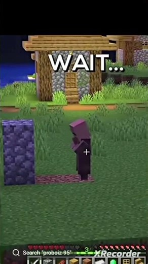 proboiz Met dead villager in minecraft