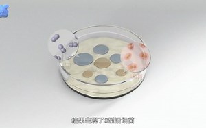 【必修2】DNA是主要的遗传物质的发现过程 噬菌体侵染肺炎链球菌 人教版统编教材高中生物学2019新课改新课标