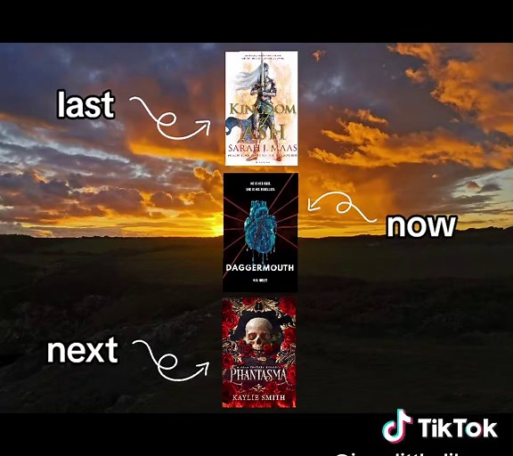 Was at a wedding today, so not much content so thought I'd do a lil last now next ☺️ #booktok #bookgirlie #fantasytok #bookish #booklover