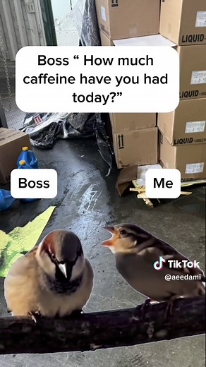 Funny Work Memes Compilation