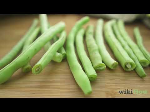 Comment Conserver Les Haricots Verts Frais