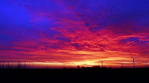 Pexels Video no copyright