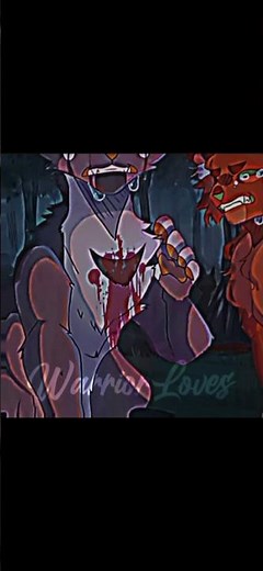 HollyLeafs Death… #cats #warriorcats #animation #edit #catswarriors #animationmeme #warriorcat #cats