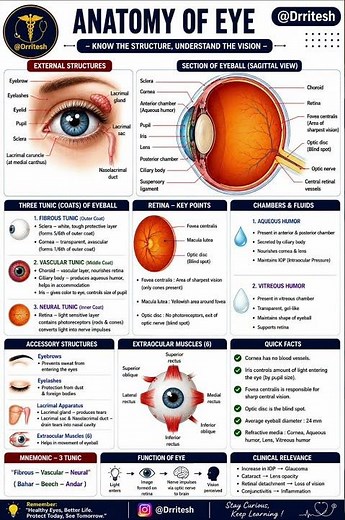 👁️ ANATOMY OF EYE — Complete Revision in One Post! 📚🔥Save this post 📌