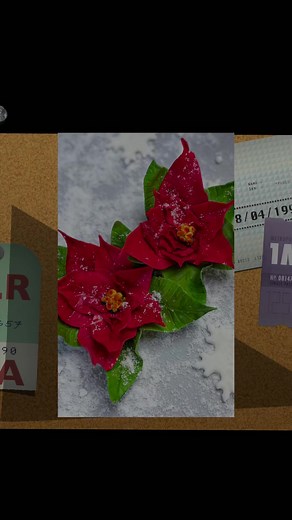 1.7K views · 11 reactions | Here I show you how to make a Poinsettia from flower pasteI used "the flower paste" from The SUGAR PASTE for these flowers Immaculate Confections for my dusts and our amazon store front is here UK https://www.amazon.co.uk/shop/jinnystutorialsUSA https://www.amazon.com/shop/jinnystutorials #christmas #baking #fondant | Jinny's Cakes Bakes & Decorates | Facebook