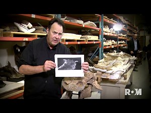 Dan Aykroyd introduces Zuul crurivastator