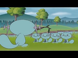 Wooper Quartet