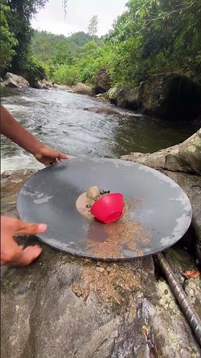 Found a turtle stone in a hole in the napal, it turned out that there were many gold grains hidden