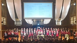 What a thrilling and festive occasion we all had yesterday at the Brangwyn Hall for the poignant charity “Ty Hafan” with two separate concert showings. Here is the finale of the night. Audience, Choir, and guest artistes on stage singing “O Come All Ye Faithful” with the glorious ‘Willis’ organ, played by our Scott Williams. Also with grateful thanks to: Siân Lloyd, Rhiannon Williams, Ryan Wood, narrator Tony Jones, Lauren Williams, James Oakley, Bishop Gore Comprehensive School Choir and their 