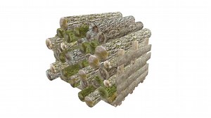 Wood Log Low Poly Type 1 - 3D model by csmzet