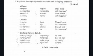 Explain the phonological processes involved in each of the grou... | Filo