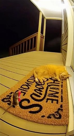 The Most EPIC Prank War Ever 🐭🔥