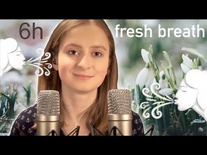 🌬 ASMR ✨ Breathing 💨 6h Non-Stop (through 👃)