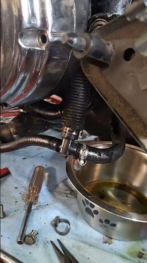Revealing the root of my Sportster's oil leak