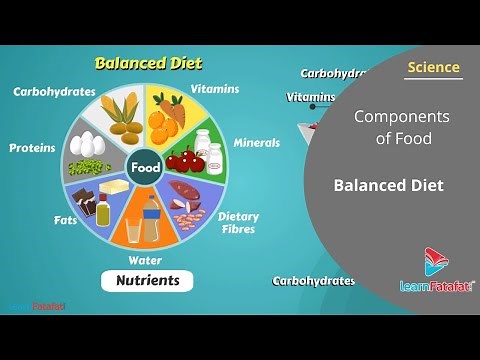 Components of Food Class 6 Science - Balanced Diet