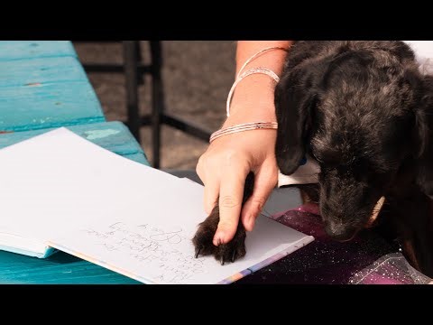 Successful Runaway Book Release & Signing 📍 Aguadilla, Puerto Rico.