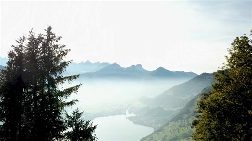 Videoanzeige von Cord Meyer