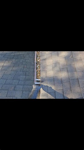 Leaves are falling! Hit me up if you need some help getting those gutters cleaned up when ready! | Tommy C's Cleaning Services LLC