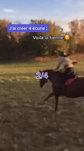 2/4 🥰 #equestrian #horsegirl #équitation #cross #crossequestrian #aesthetic #cheval_de_france