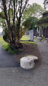 11K views · 124 reactions | A peaceful walk across the causeway to...