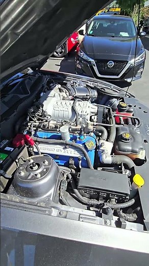 2014 Ford Shelby GT500 for Sale