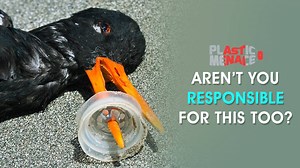 1.2M views · 11K reactions | We are ignorant, or do we act so? This video will shock you and make you believe what our addiction towards plastic has caused—an incomprehensible damage to the planet! | Plastic Menace | Facebook