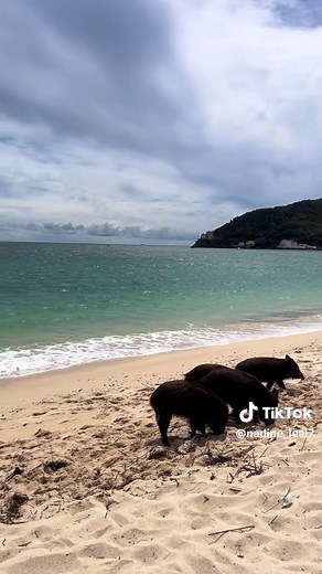 Só a chilar em Portinho da Arrábida – roteiro curto e dicas