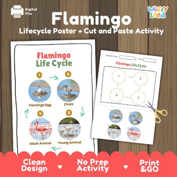 Flamingo Life Cycle Chart & Cut and Paste Activity | Tropical Bird Biology