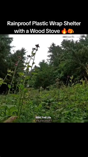 1.2K views · 36 reactions | Deep in the forest, I built a completely rainproof shelter using just plastic wrap and wooden branches. With a small wood stove inside, it turns into a warm and cozy hideout. Watch how simple materials can create real wilderness comfort!   Don’t forget to follow for more nature, camping, and survival content! | Wild Trail Life | Facebook
