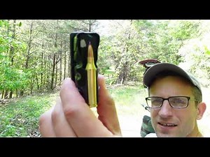 243 Varmint Ammo vs Deer Target