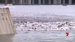The master of the freighter that lost 50 shipping containers off the NSW coast is set to be charged with breaches of cargo rules and maritime pollution. His ship is already impounded as authorities battle to collect the scattered containers. www.7NEWS.com.au #7NEWS | 7NEWS Adelaide